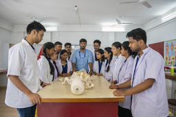 anatomy-practical